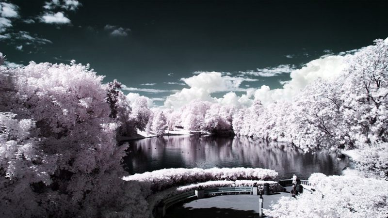 攝影技巧：紅外攝影下的綠色變成了雪景(圖1)