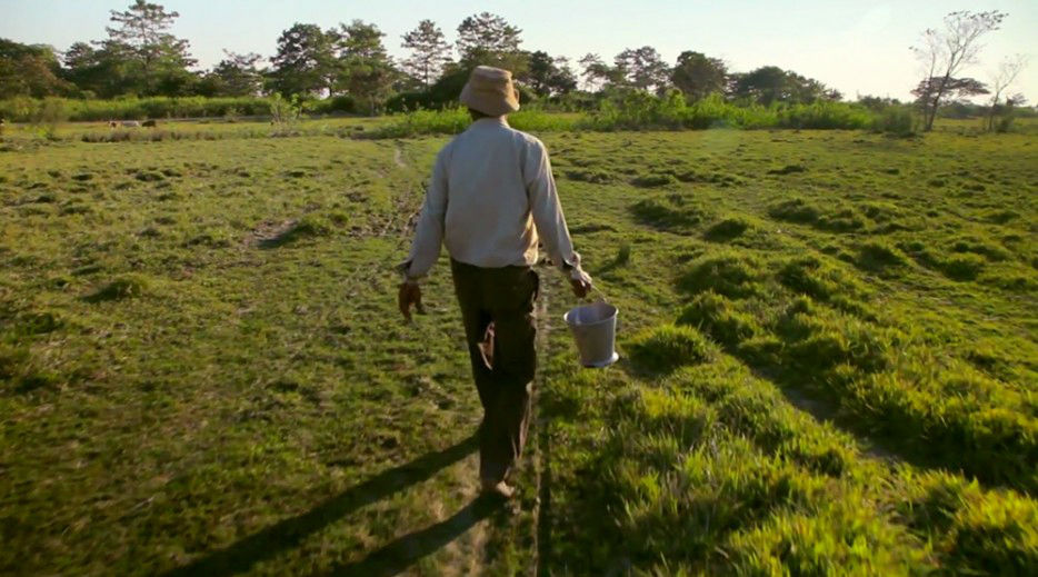 印度一島民堅持種樹35年，將550公頃荒島變森林--置頂表情