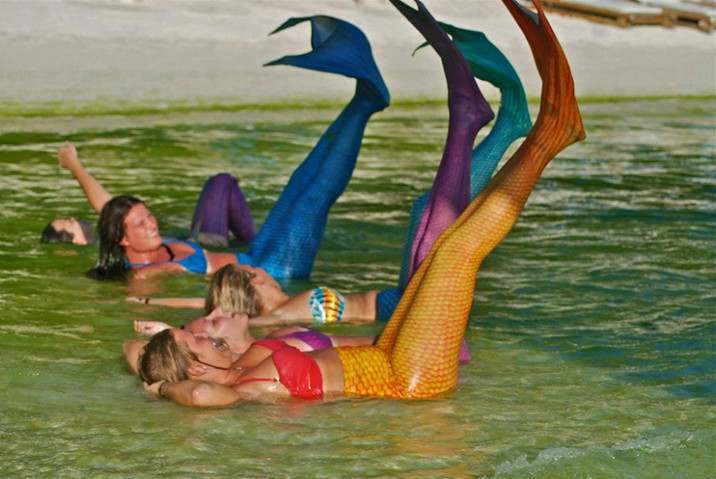 游泳學校教會你如何成為一個美人魚--置頂表情