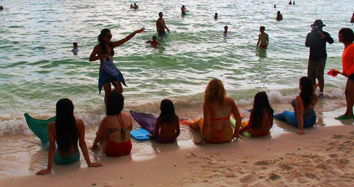 游泳學校教會你如何成為一個美人魚--置頂表情