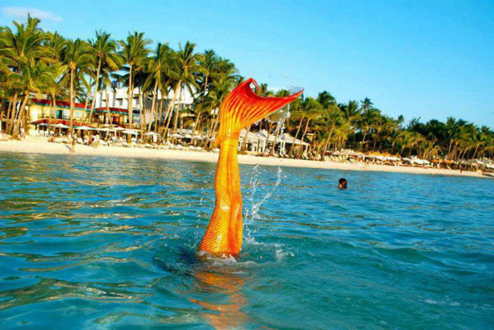 游泳學校教會你如何成為一個美人魚--置頂表情