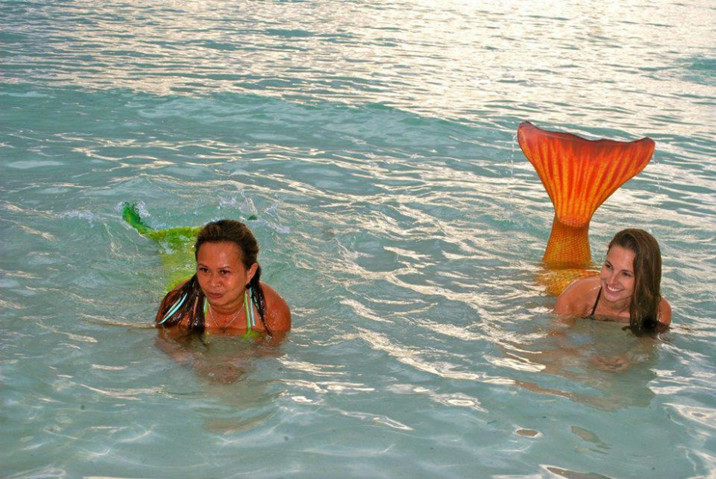 游泳學校教會你如何成為一個美人魚--置頂表情