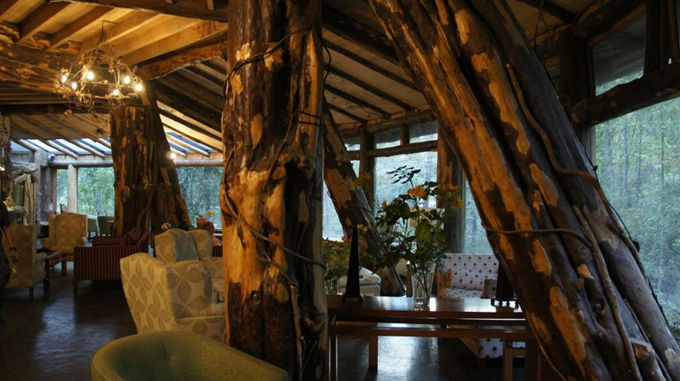 神奇的魔法木制酒店，童話森林里的城堡--置頂表情