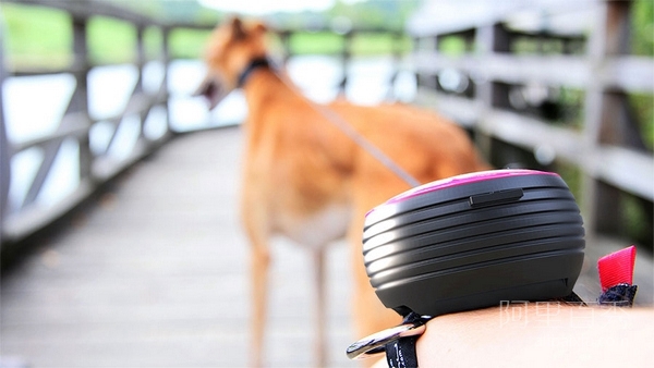 可以戴在手腕上的遛狗繩Lishinu 讓你更輕松遛狗--置頂表情