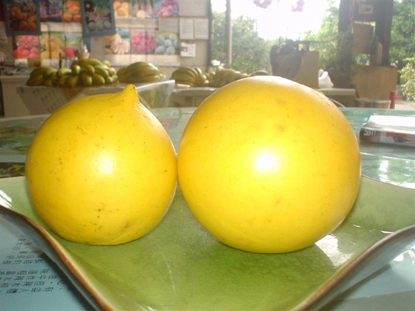 20種不常見但很好吃的怪異水果，非洲角瓜絕對是吃貨的追求--置頂表情