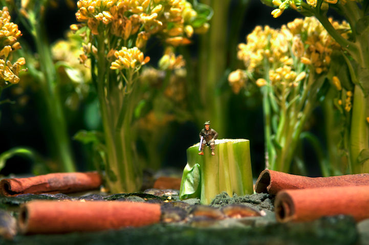 微距攝影的食物和人偶，每個(gè)都是不同的故事--置頂表情